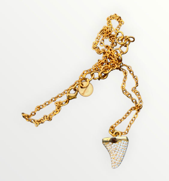 Collana dentino squalo botteguccia 2 varianti colore