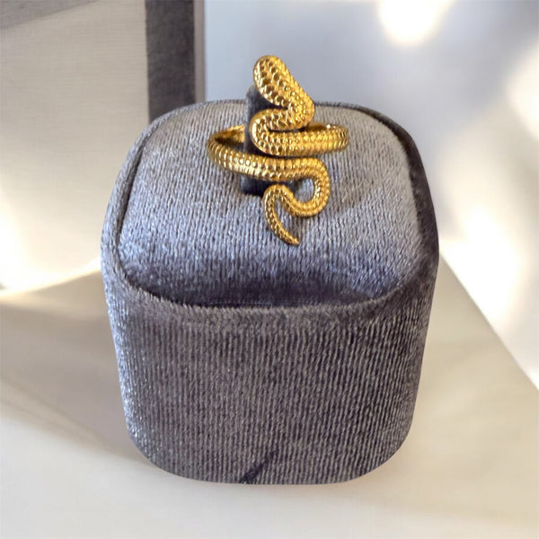 Anello serpente   due varianti colore