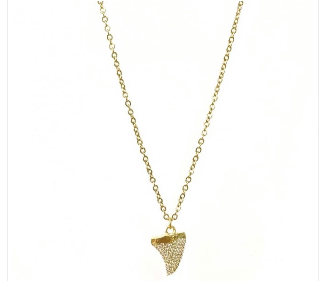 Collana dentino squalo botteguccia 2 varianti colore