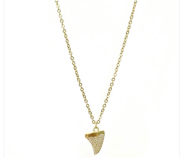 Collana dentino squalo botteguccia 2 varianti colore