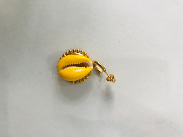 Mono orecchino conchiglia Coin botteguccia